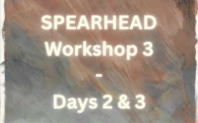Days 2 & 3 of SPEARHEAD Workshop #3: From Particle Transport to the Future of SEP Science